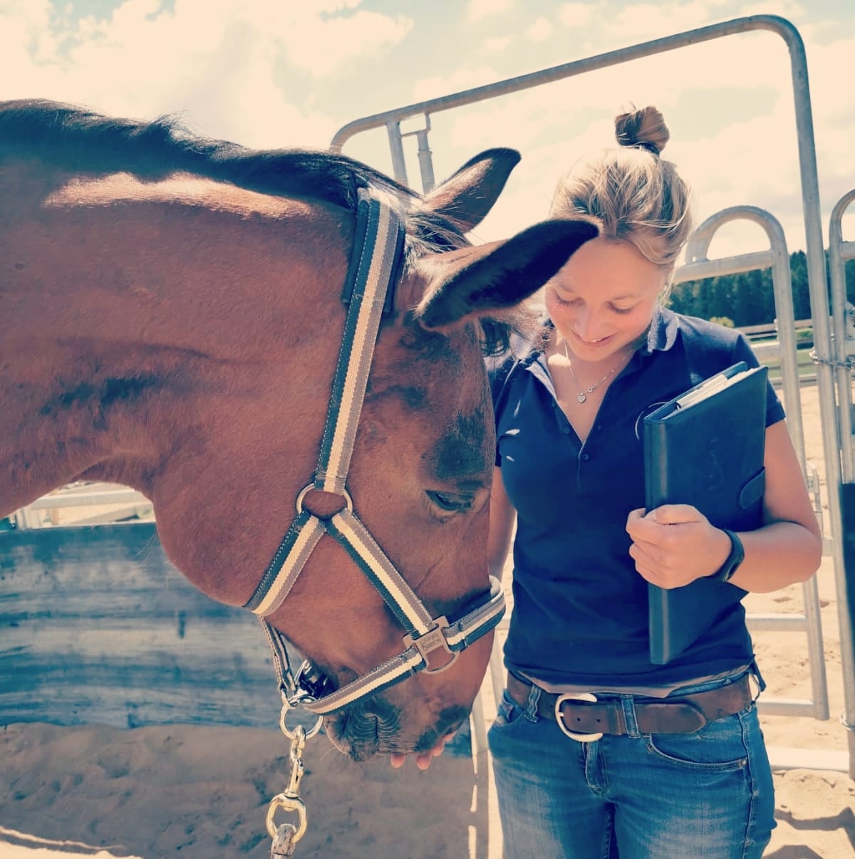 Kraftpferd - Vicky Hollerbaum - ☀️ Sonnenschutz für Pferde - Was sollte man  beachten? ☀️ Mit dem wachsenden Gras steigt bei einigen Pferden auch die  Dauer auf der Weide. So sehr wir