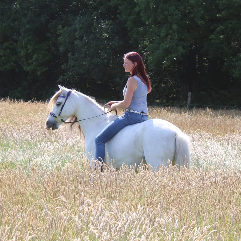 Kraftpferd - Vicky Hollerbaum - ☀️ Sonnenschutz für Pferde - Was sollte man  beachten? ☀️ Mit dem wachsenden Gras steigt bei einigen Pferden auch die  Dauer auf der Weide. So sehr wir