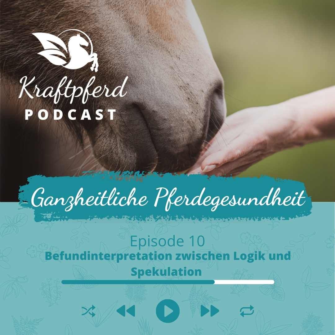 Podcast #10: Befundinterpretation zwischen Logik und Spekulation