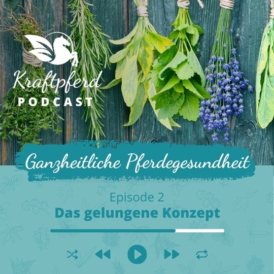 Phytoserie 2: das gelungene Konzept