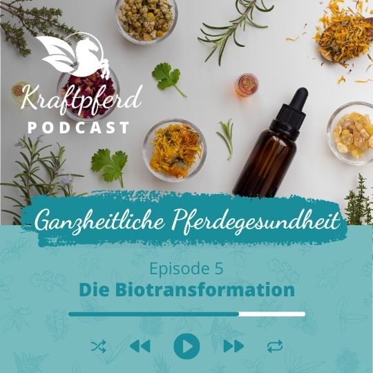 Phytoserie #05: Die Biotransformation