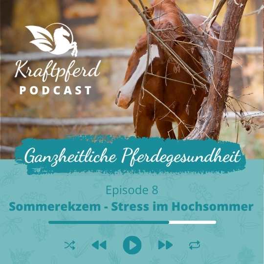 Podcast #08 Sommerekzem - Stress im Hochsommer