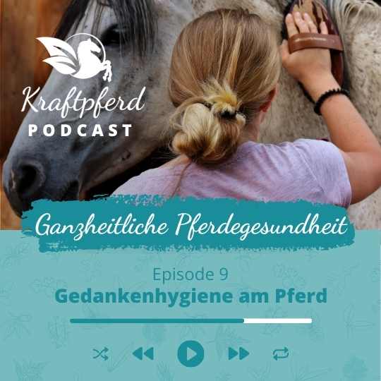 Podcast #09: Gedankenhygiene am Pferd