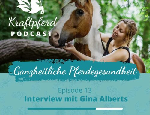 #13 Interview mit Gina Alberts