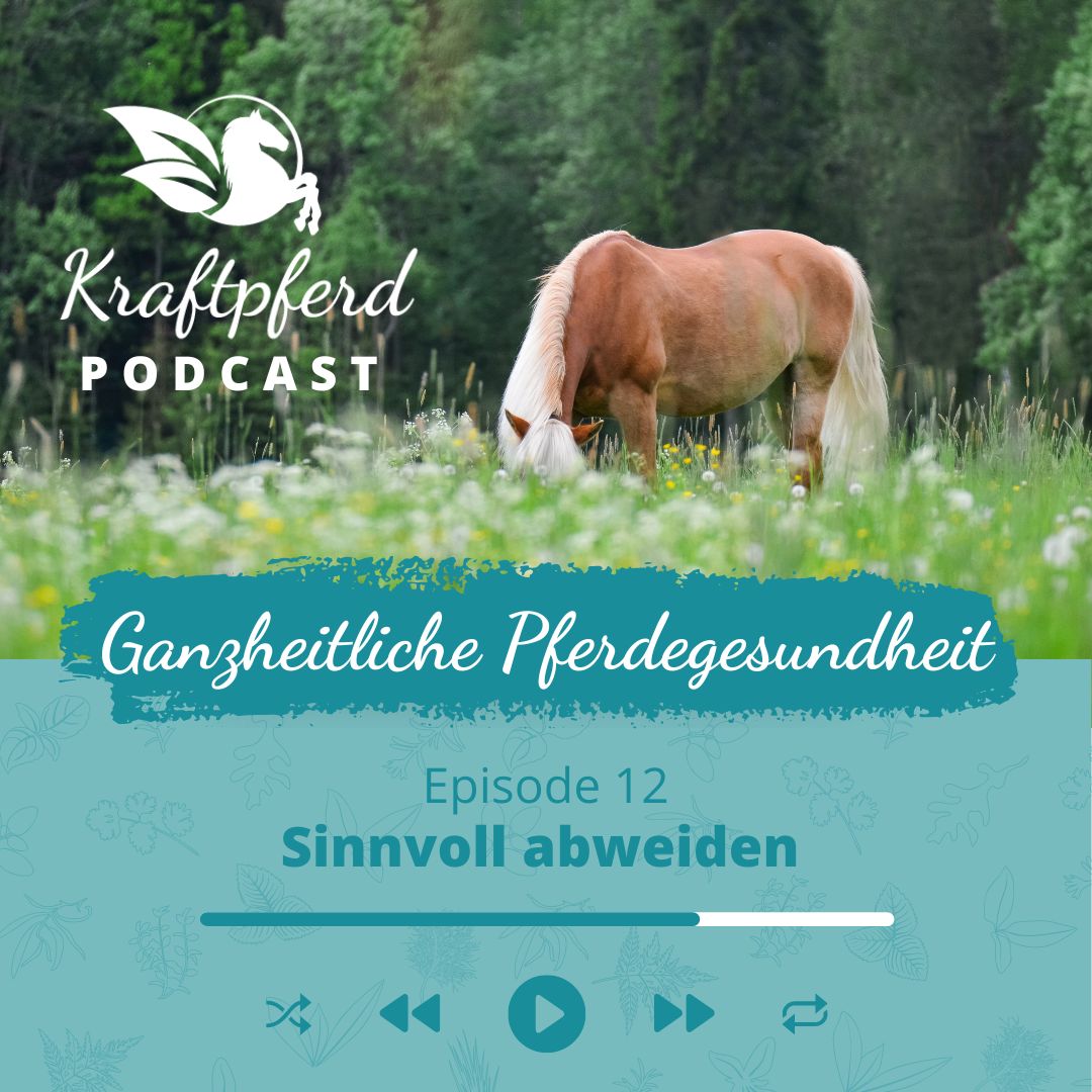 Podcast #12 - Sinnvoll Abweiden