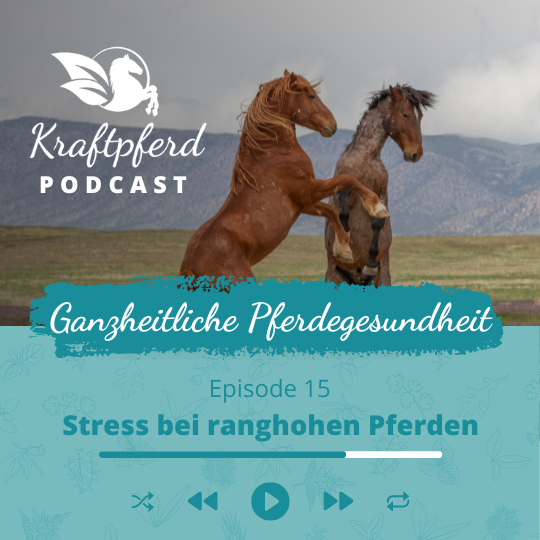 #15 Stress bei ranghohen Pferden | Kraftpferd Podcast