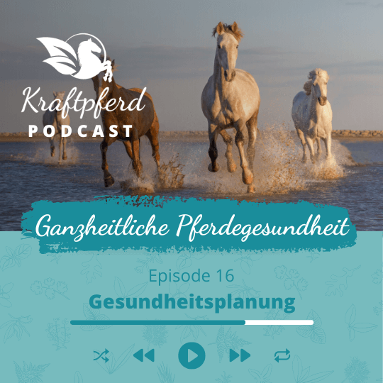 Kraftpferd Podcast #16 Gesundheitsplanung