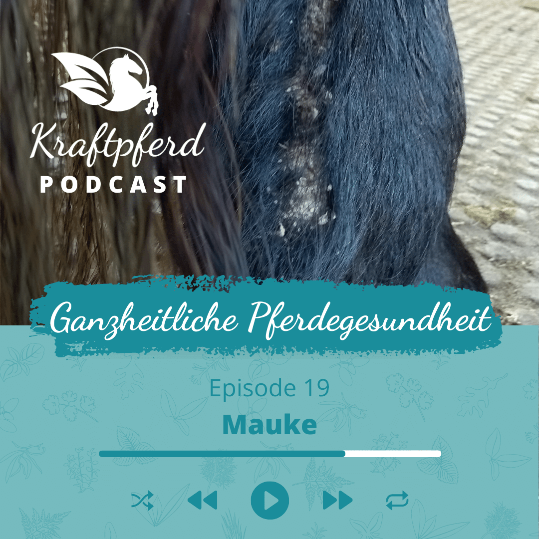 Kraftpferd Podcast #19: Mauke