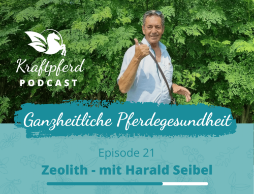#21 Zeolith – mit Harald Seibel von Velacell