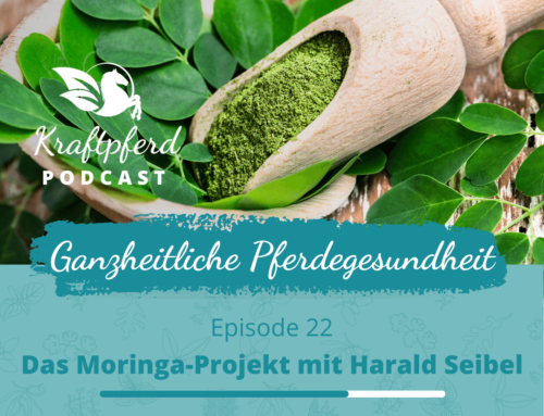 #22 Das Moringa-Projekt mit Harald Seibel