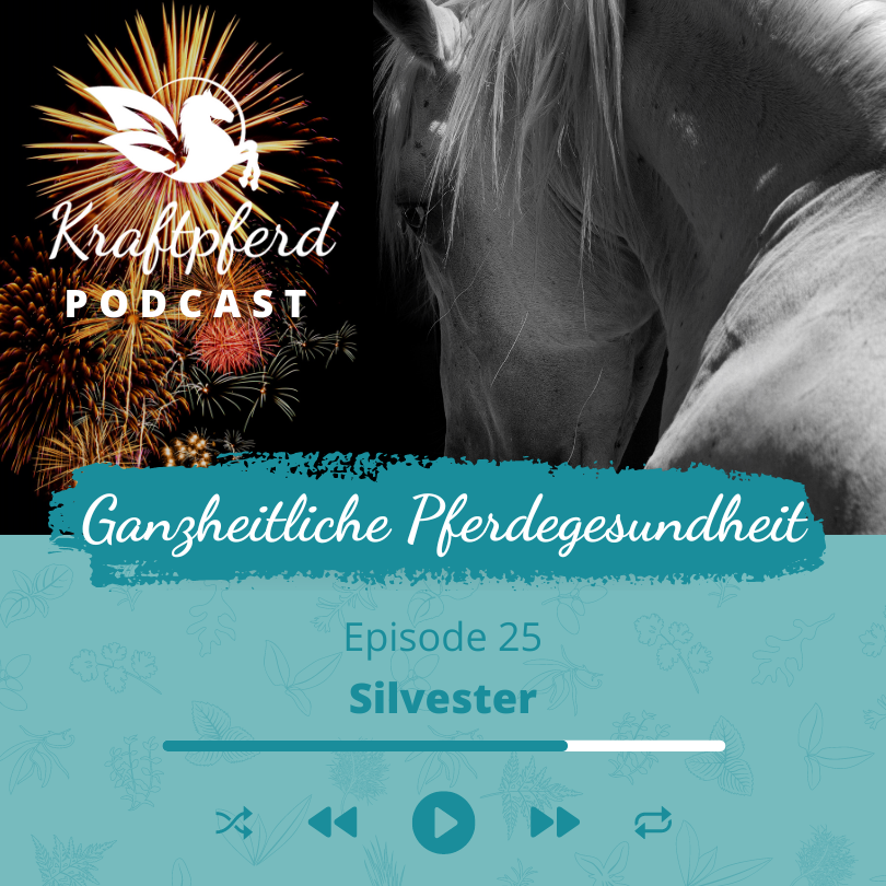 Kraftpferd Podcast #25: Silvester