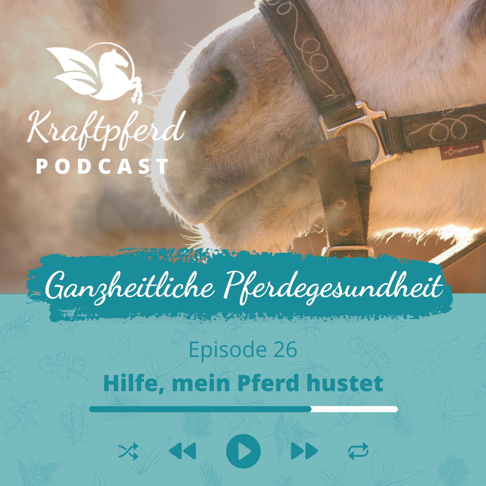 Kraftpferd Podcast #26 Hilfe, mein Pferd hustet