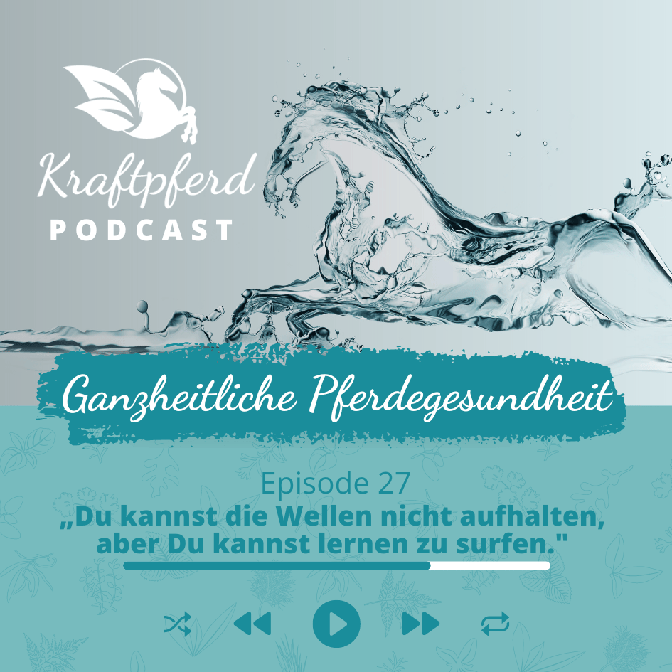 Podcast #27: „Du kannst die Wellen nicht aufhalten, aber Du kannst lernen zu surfen."