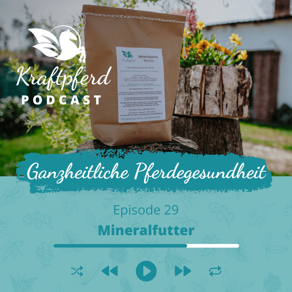 Kraftpferd Podcast #29: Mineralfutter