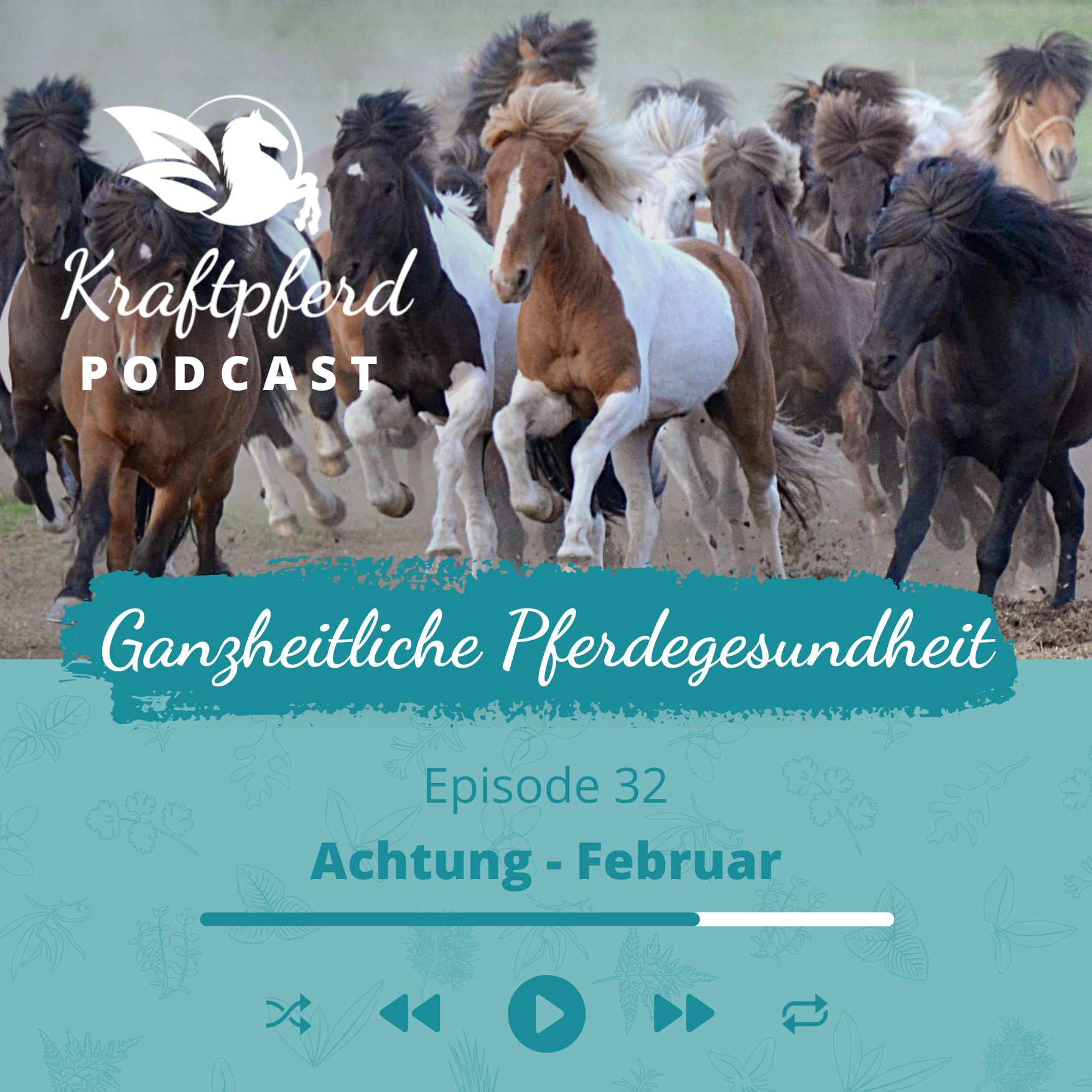 Kraftpferd Podcast #32: Achtung, Februar