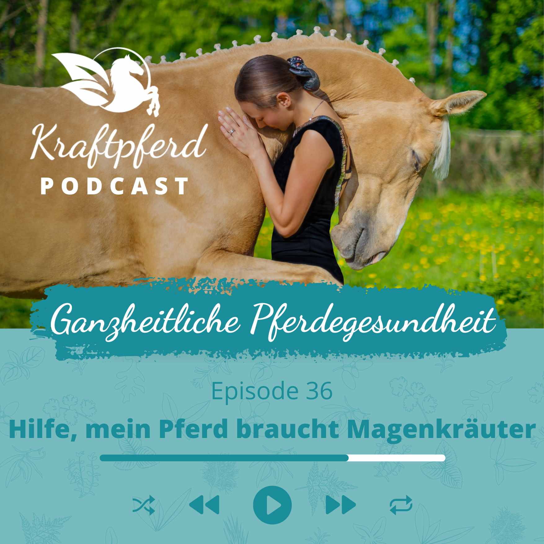 Kraftpferd Podcast #36: Hilfe, mein Pferd braucht Magenkräuter
