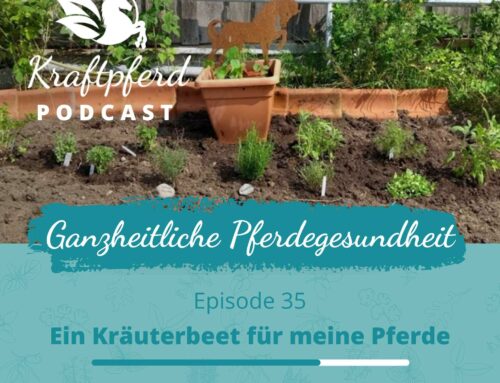 #35 Ein Kräuterbeet für meine Pferde