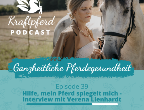 #39 Hilfe, mein Pferd spiegelt mich – Interview mit Verena Lienhardt