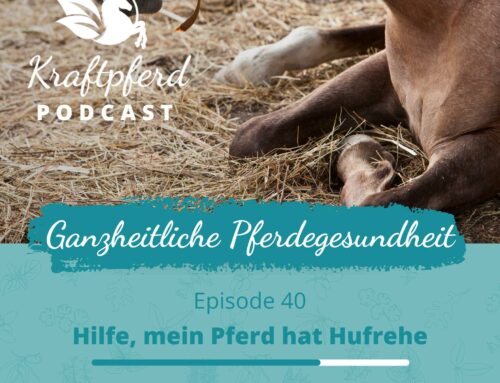 #40 Hilfe, mein Pferd hat Hufrehe