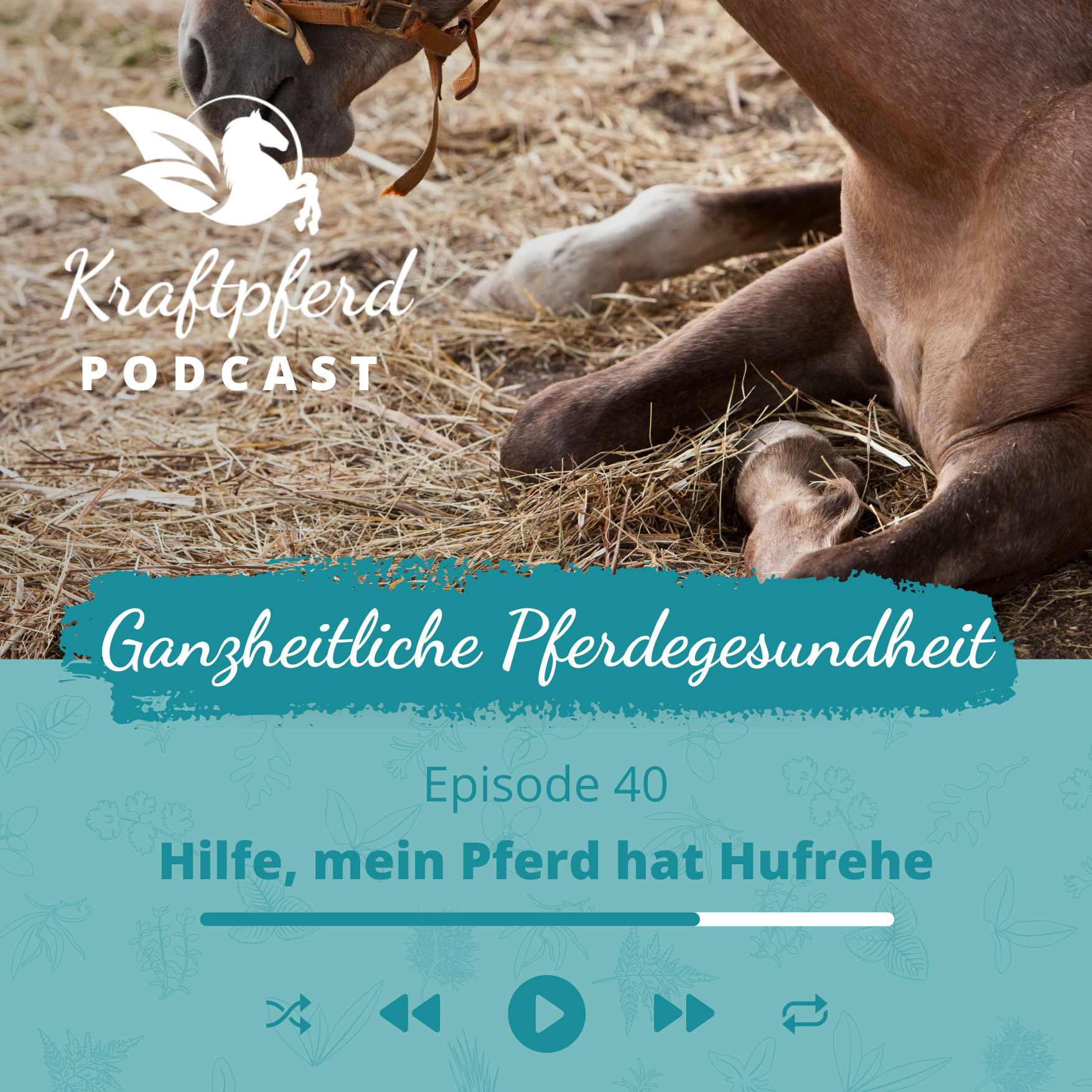 Kraftpferd Podcast #40: Hilfe, mein Pferd hat Hufrehe