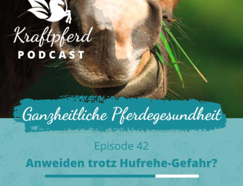 #42 Anweiden trotz Hufrehe-Gefahr?