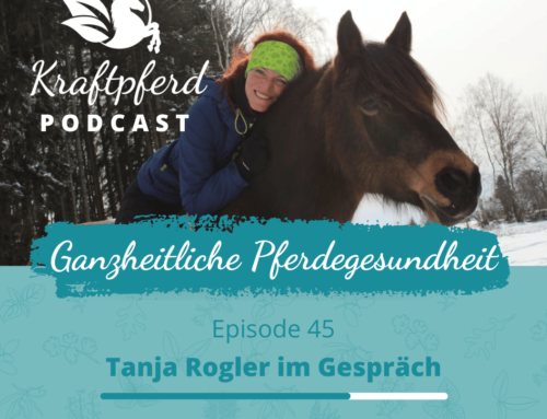 #45 Tanja Rogler von Stark im Leben im Gespräch über das Kraftpferd Mentoring