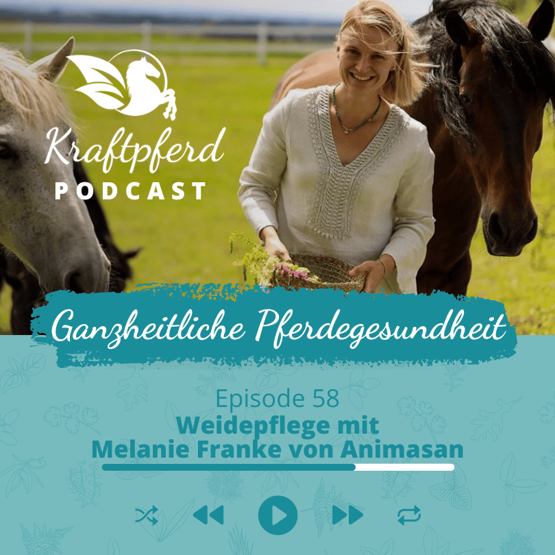 #58 Weidepflege mit Melanie Franke von Animasan | Kraftpferd Podcast