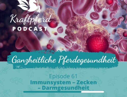 #61 Immunsystem – Zecken – Darmgesundheit