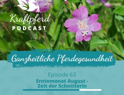 #63 Erntemonat August – Zeit der Schnitterin