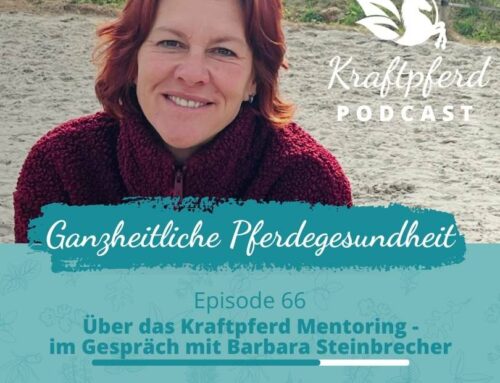 #66 Über das Kraftpferd Mentoring – im Gespräch mit Barbara Steinbrecher