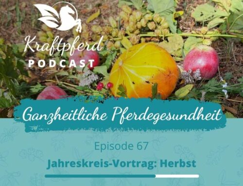 #67 Jahreskreis-Vortrag: Herbst