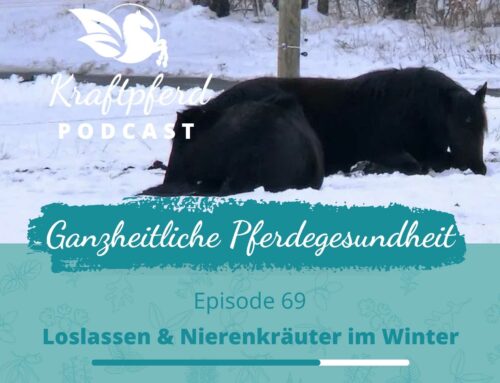 #69 Loslassen & Nierenkräuter im Winter