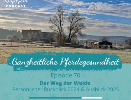 #70 Der Weg der Weide – Persönlicher Rückblick 2024 & Ausblick 2025