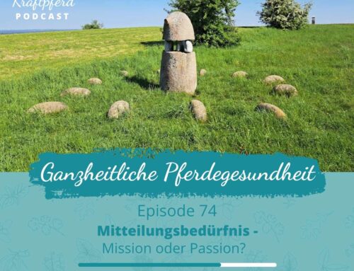 #74 Mitteilungsbedürfnis – Mission oder Passion