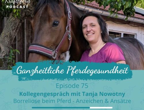 #75 Kollegengespräch mit Tanja Nowotny über Borreliose beim Pferd – Anzeichen und Ansätze