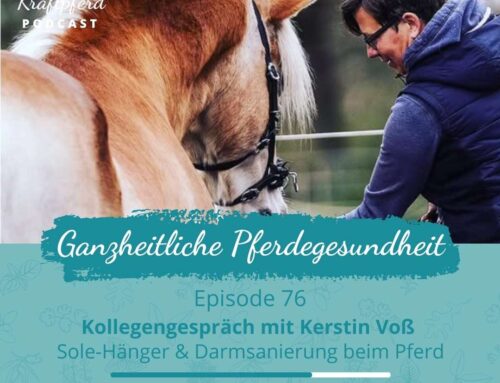 #76 Kollegengespräch mit Kerstin Voß über Sole-Hänger, Inhalation & Darmgesundheit beim Pferd