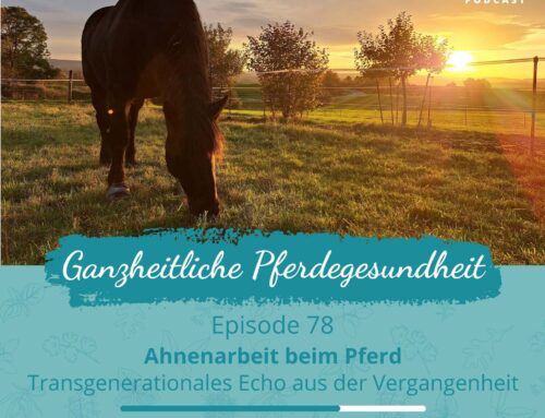 #78 Ahnenarbeit mit Pferden – Echo über Generationen hinweg