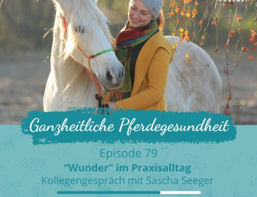 #79 „Wunder“ im Praxisalltag – Interview mit Sascha Seeger